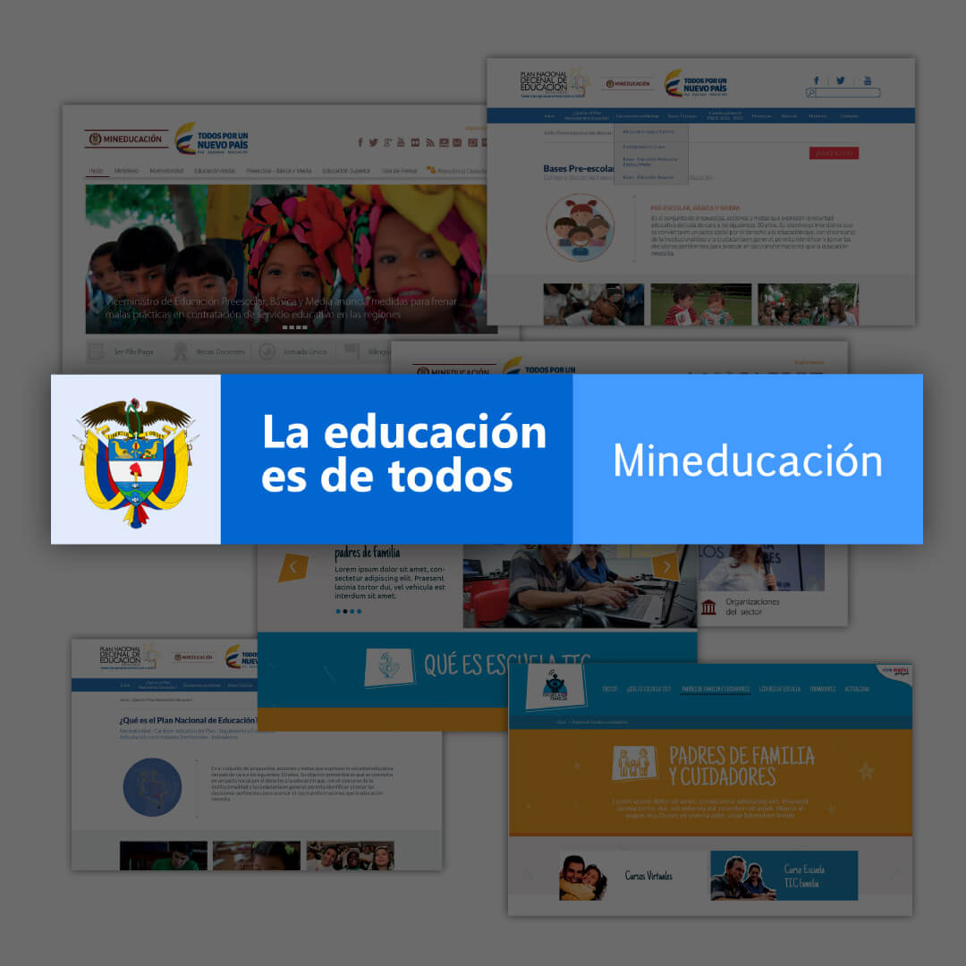 Mineducación Ricardo UX UI Designer