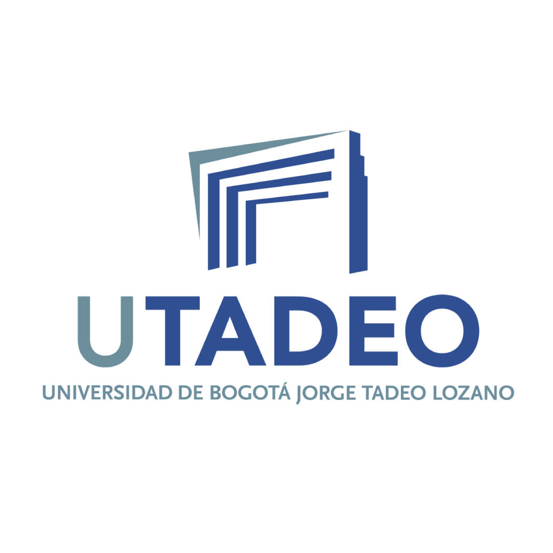 Tadeo Ricardo UX UI Designer